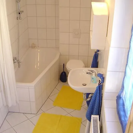 Mayer רנגסדורף